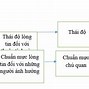 Nghiên Cứu Ảnh Hưởng Của Tiktok Đến Giới Trẻ