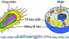 Người Sống Tử Tế Là Người Như Thế Nào