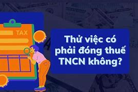 Thử Việc Có Đóng Thuế Không